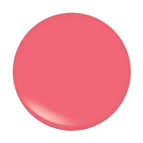 After Glow Lip Gloss Set - "Oh My Gloss"