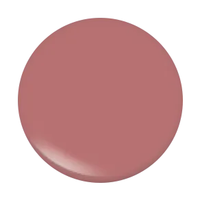After Glow Lip Gloss Set - "Oh My Gloss"