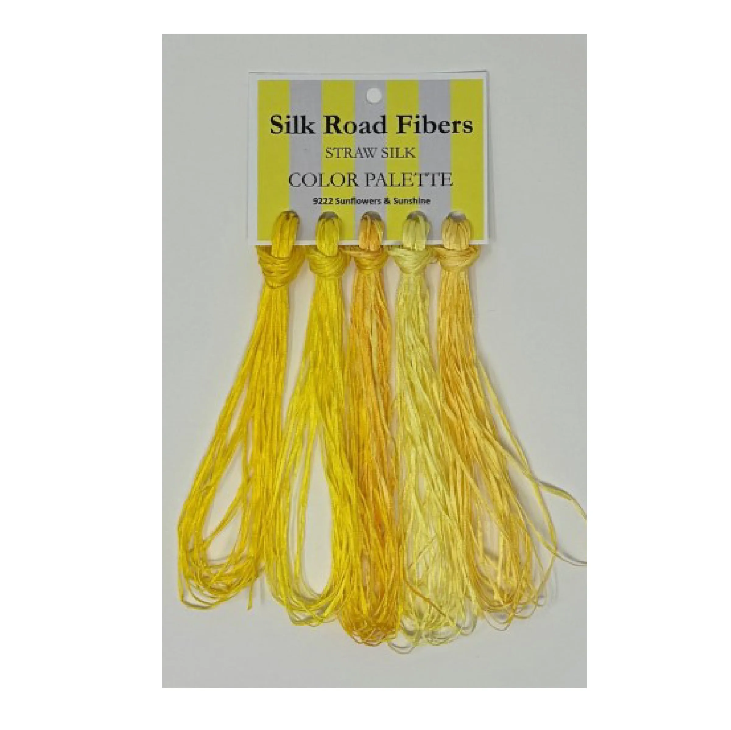 Silk Road Color Palettes
