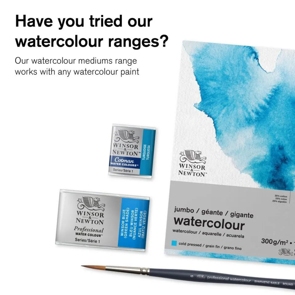 Winsor & Newton Watercolour Medium - Ox Gall Liquid 75ml