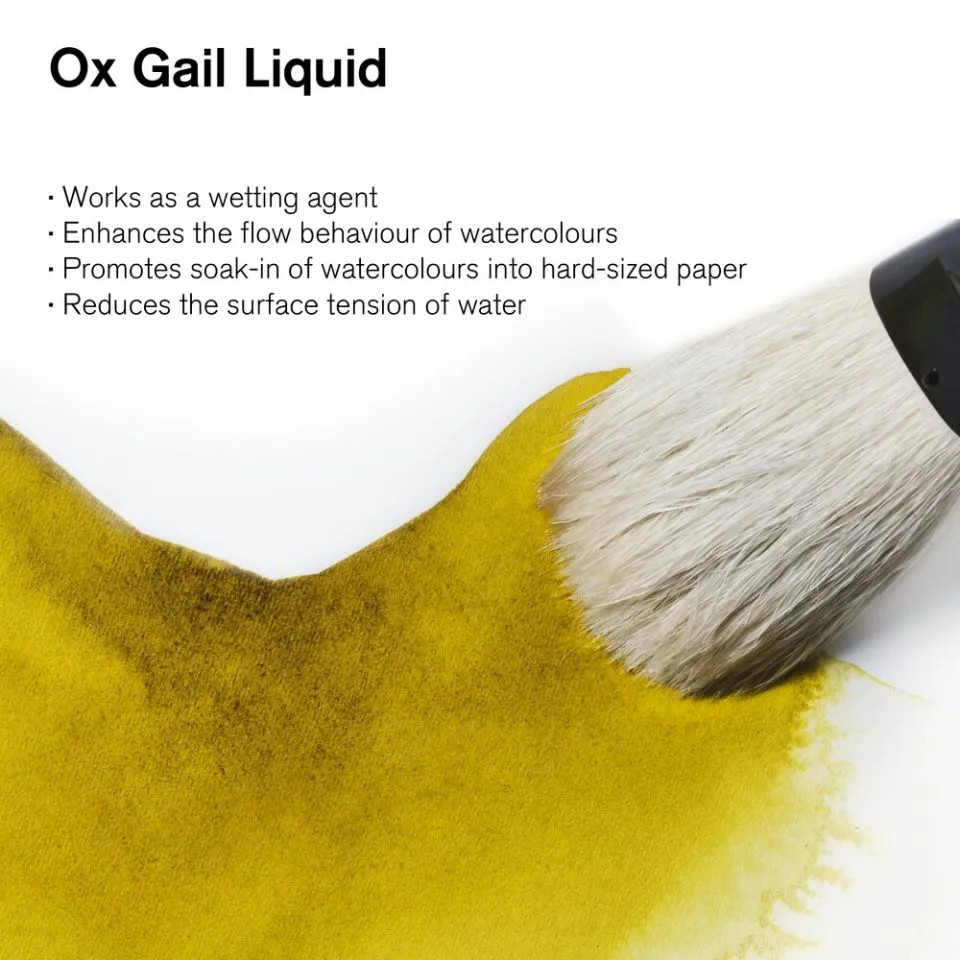 Winsor & Newton Watercolour Medium - Ox Gall Liquid 75ml